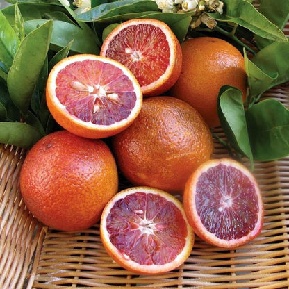 Blood Orange Seeds - Fruit Plant