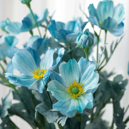 Blue Cosmos Seeds