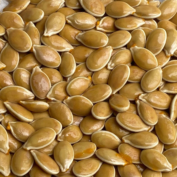 Blue Jarrahdale Pumpkin Seeds