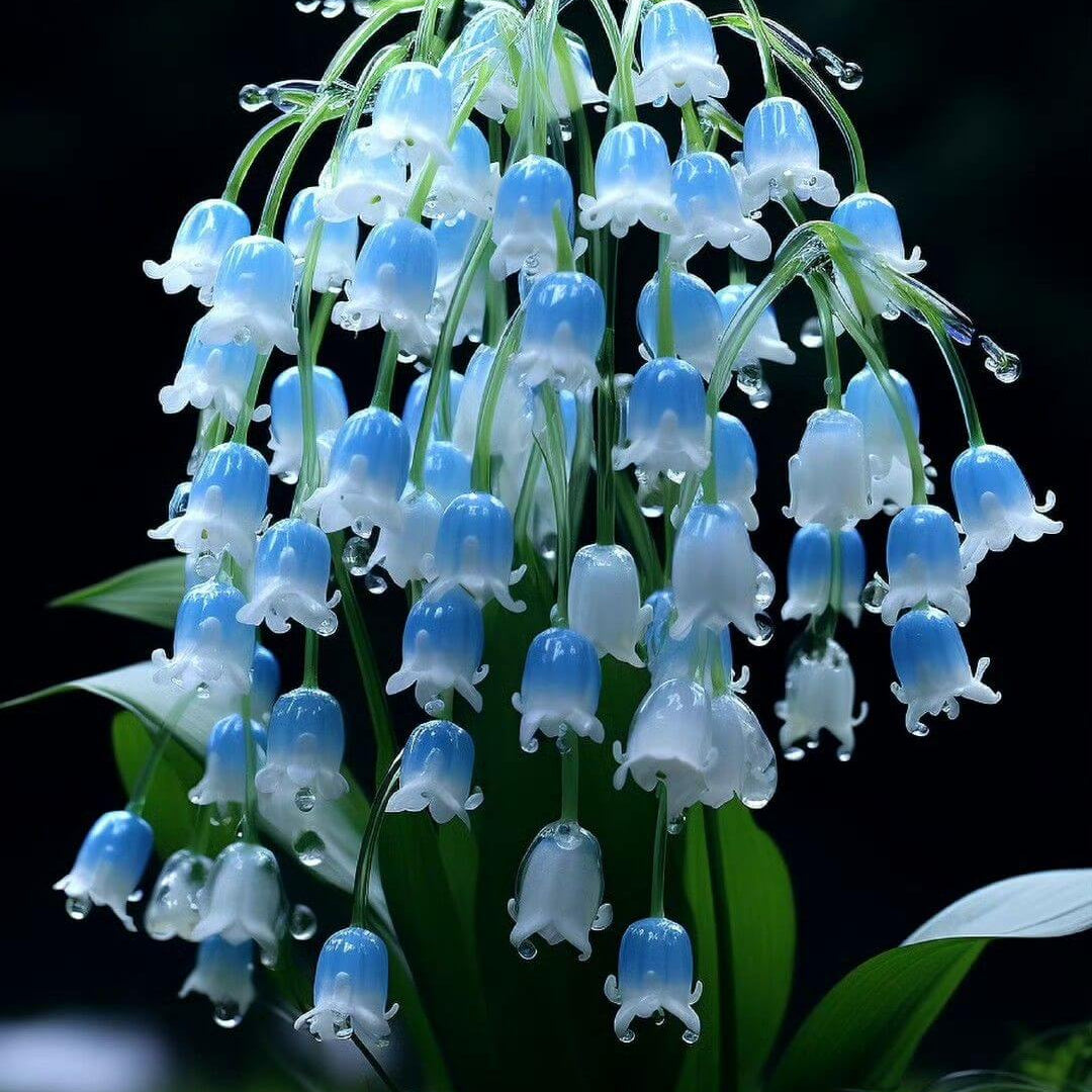 Blue Lily of the Valley Seeds
