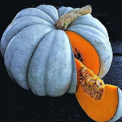 Blue Pumpkin Seeds 