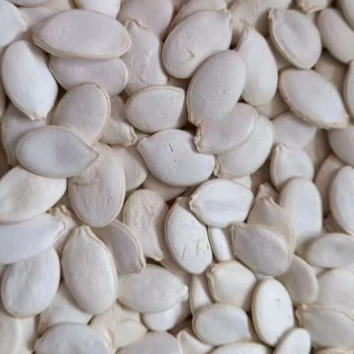 Blue Pumpkin Seeds 