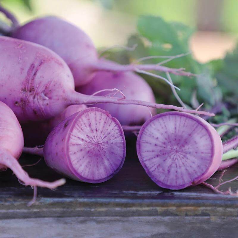 Blue Radish Seeds 