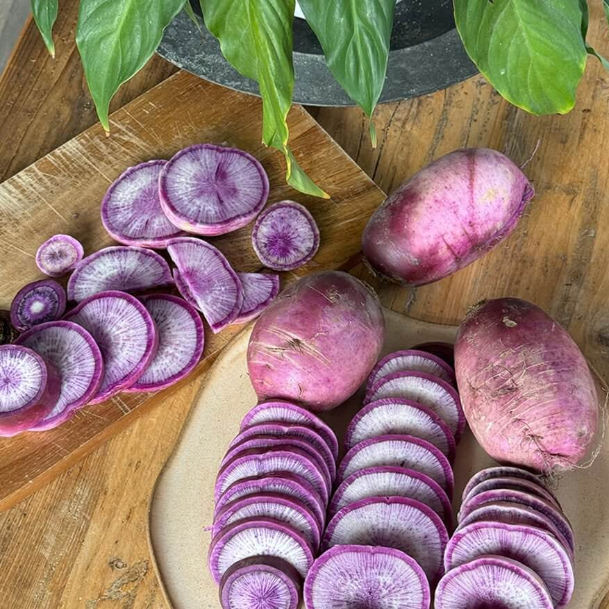 Blue Radish Seeds 