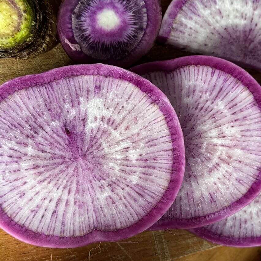 Blue Radish Seeds 