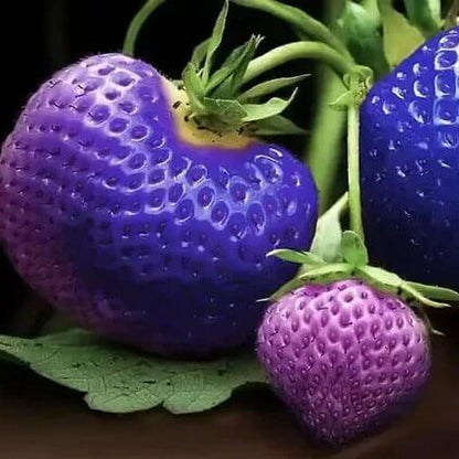 Blue Strawberries Seeds