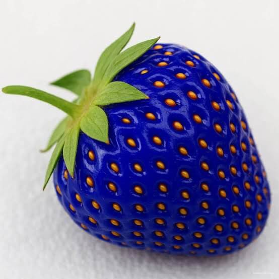Blue Strawberries Seeds