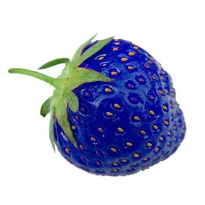 Blue Strawberries Seeds