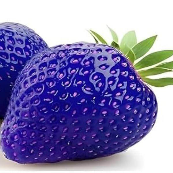 Blue Strawberries Seeds