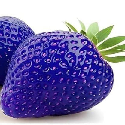 Blue Strawberries Seeds