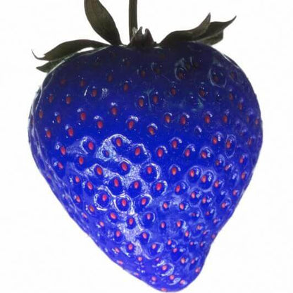 Blue Strawberry Seeds