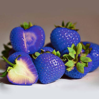 Blue Strawberry Seeds