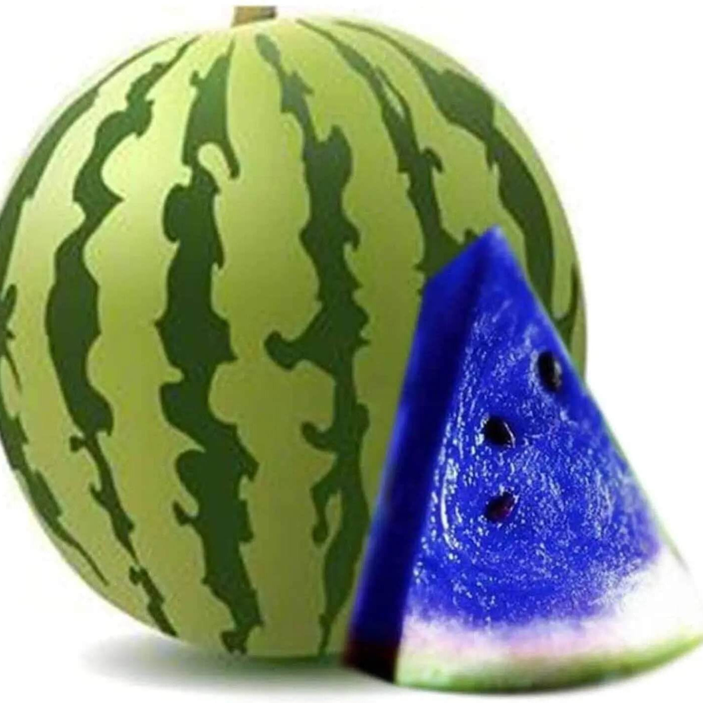 Blue Watermelon Seeds 