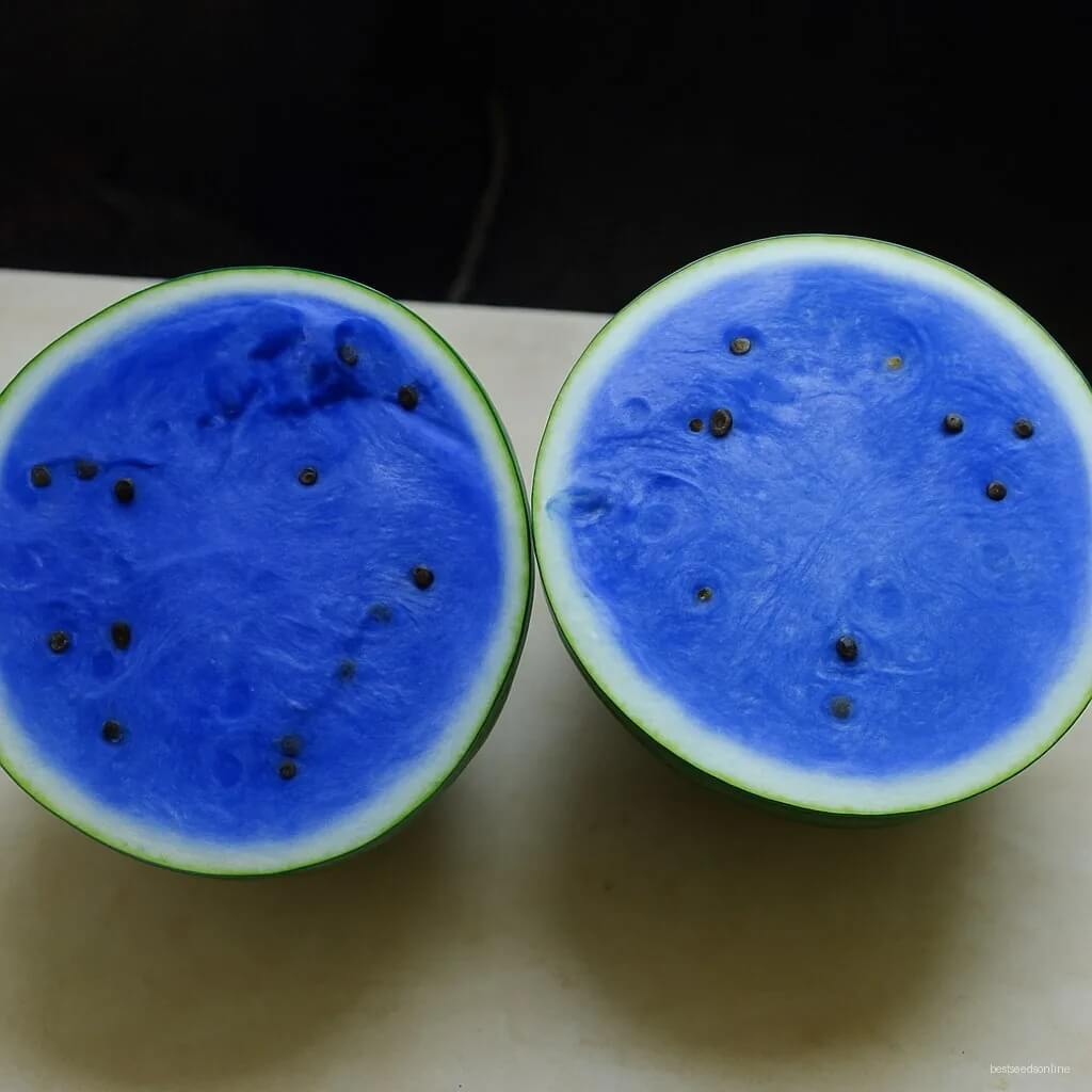 Blue Watermelon Seeds 
