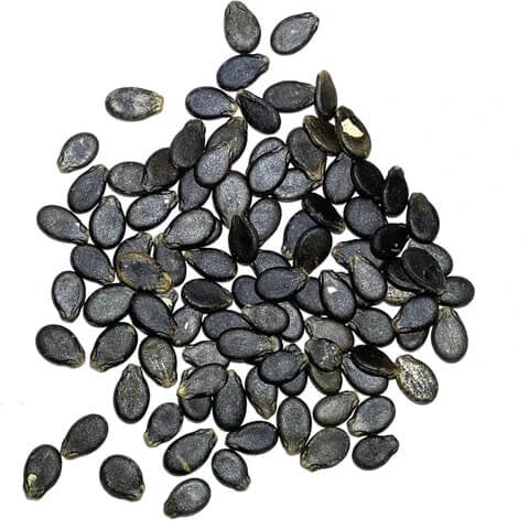Blue Watermelon Seeds 