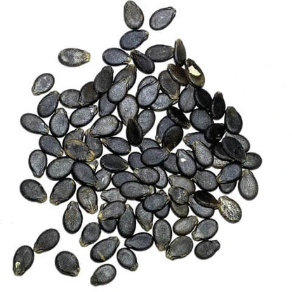 Blue Watermelon Seeds 