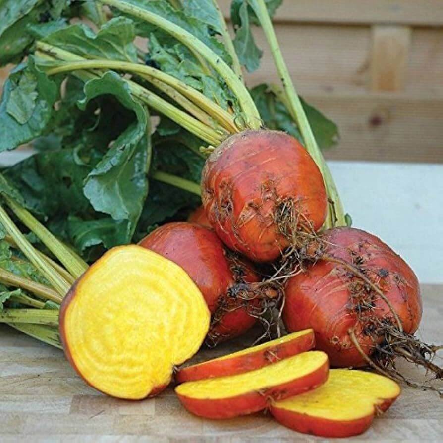 Boldor Beet Seeds 
