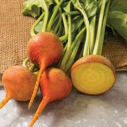 Boldor Beet Seeds 