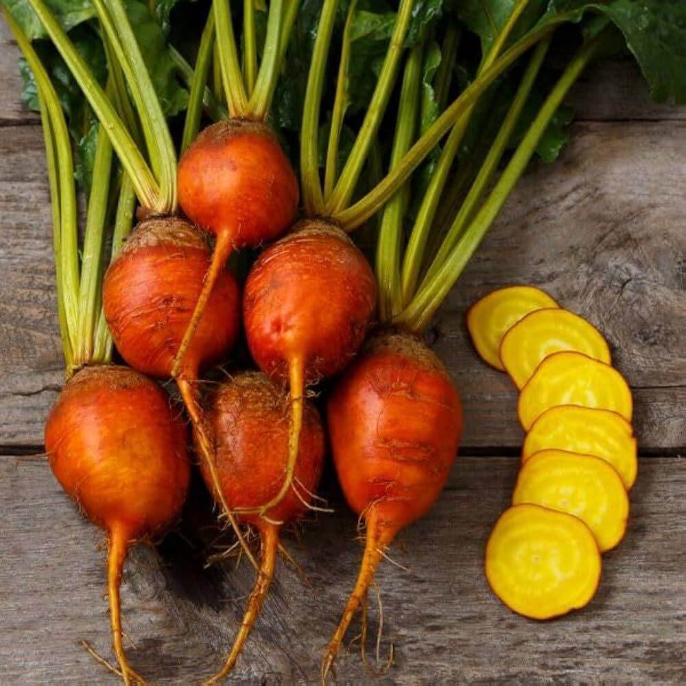 Boldor Beet Seeds 