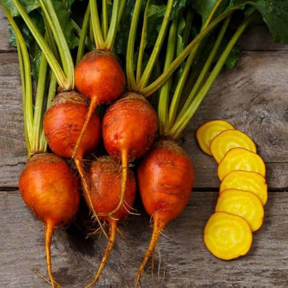 Boldor Beet Seeds 