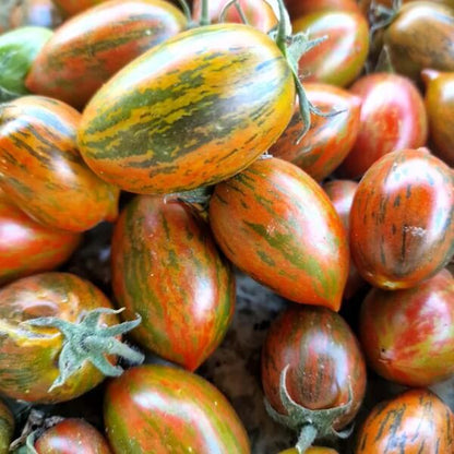Brad’s Atomic Grape Tomato Seeds