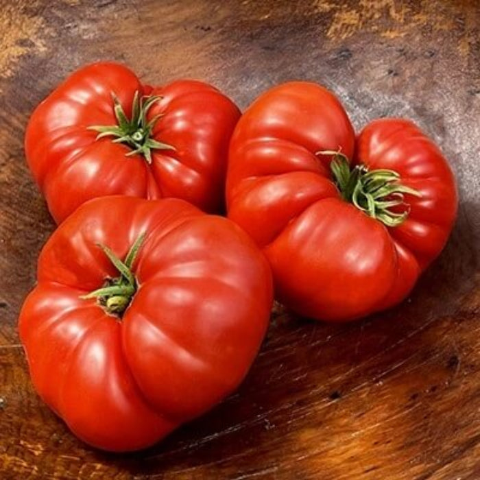 Brandywine tomato seeds - Vegetable Plant