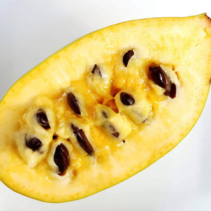 Brazilian Paw Paw Seeds