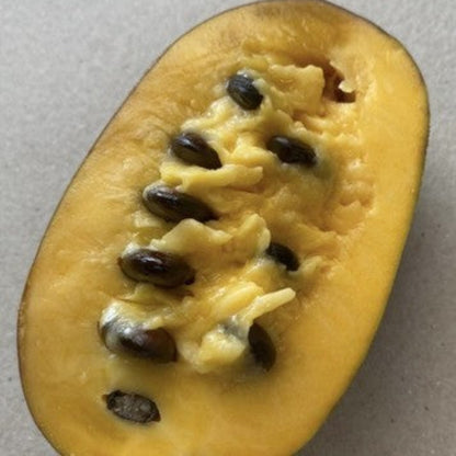 Brazilian Paw Paw Seeds