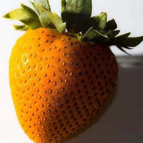 Bright Orange Strawberry Seeds