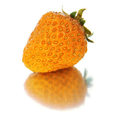 Bright Orange Strawberry Seeds