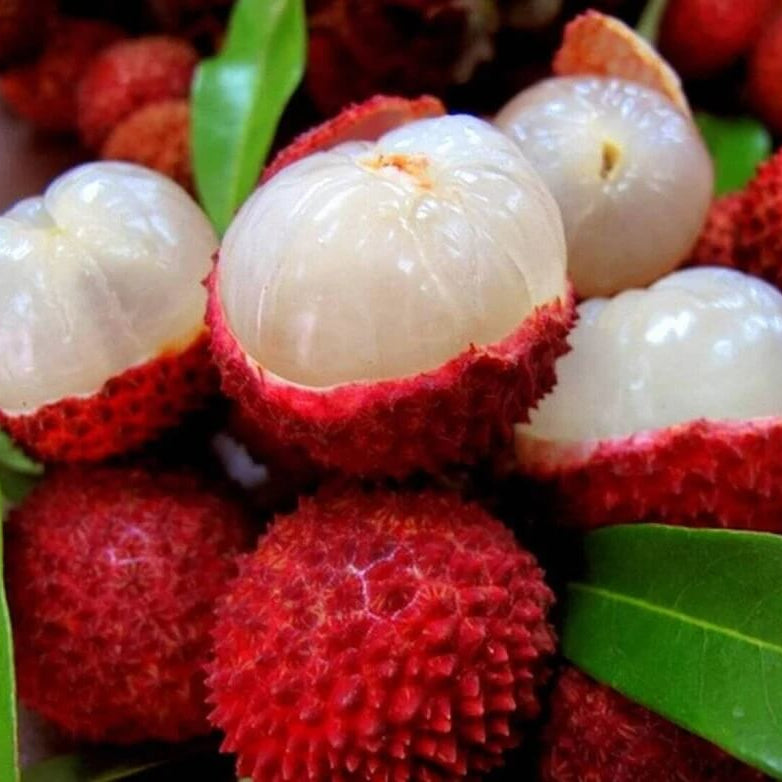 Bright Red Lychee Seeds 