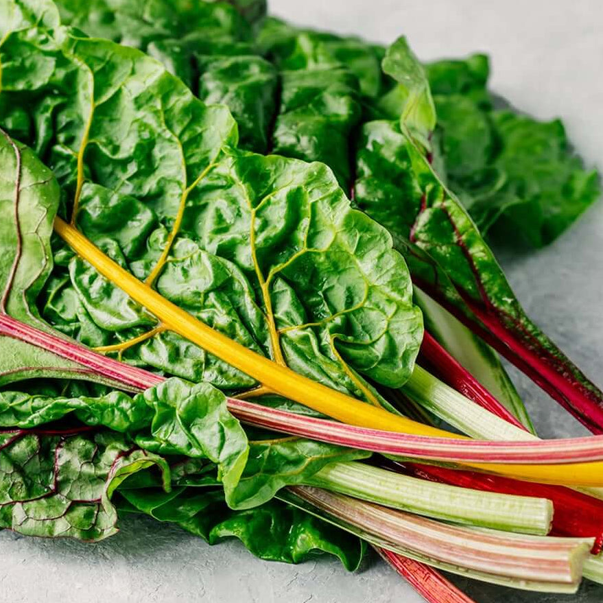 Bright lights swiss chard seeds - Vegetable Plant