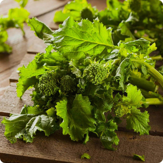 Broccoli Raab Seeds - Heirloom Vegetable Plant for Home Gardens