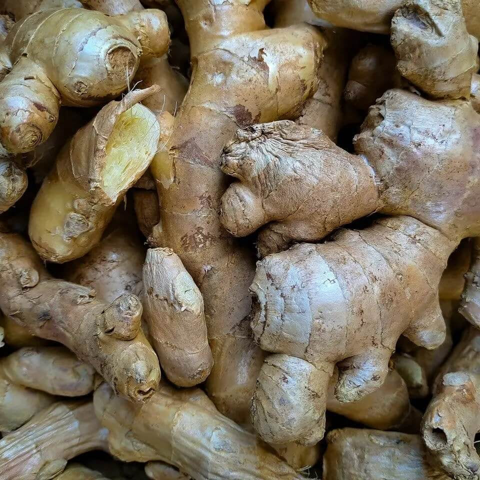 Brown Ginger Seeds
