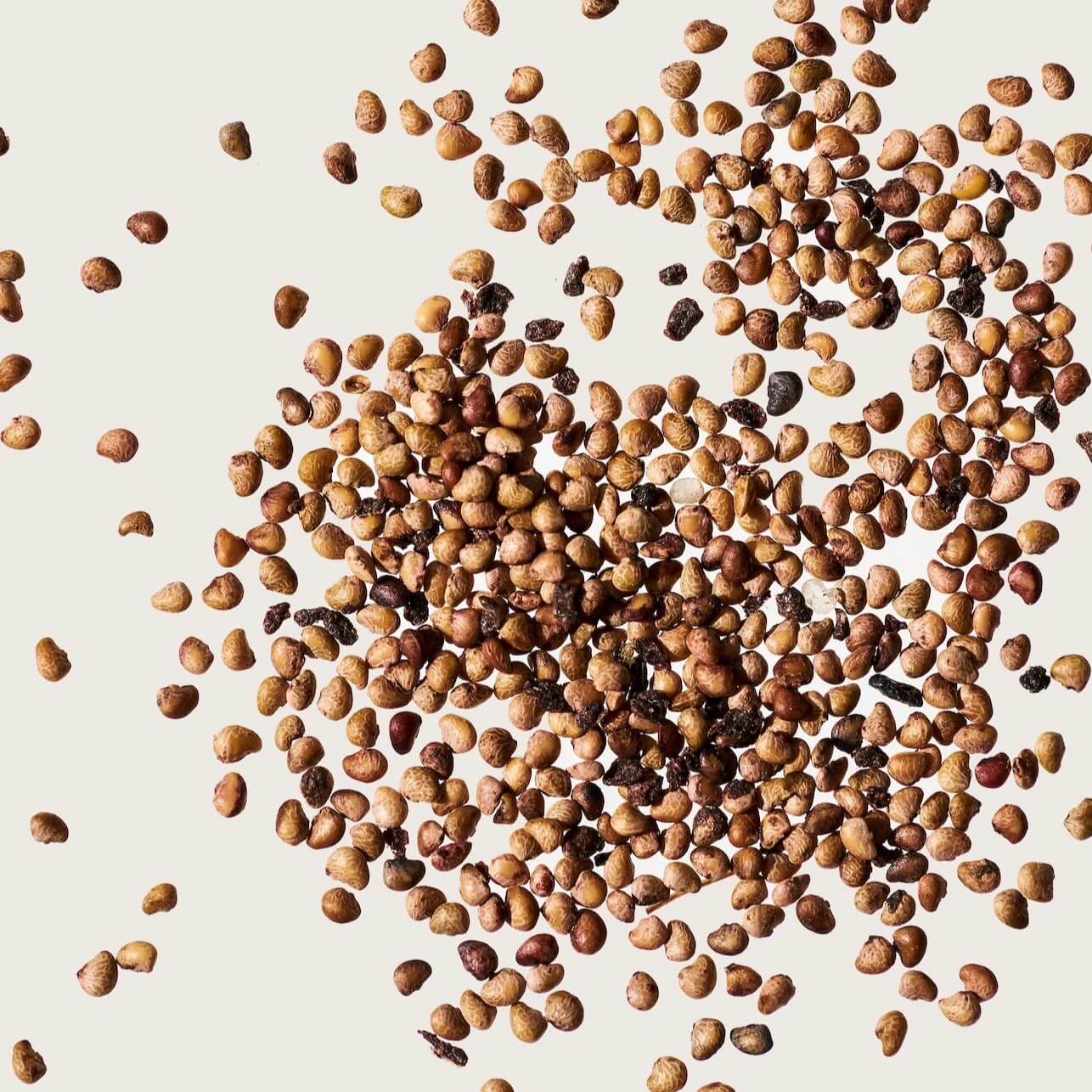 Brown Strawberry Seeds