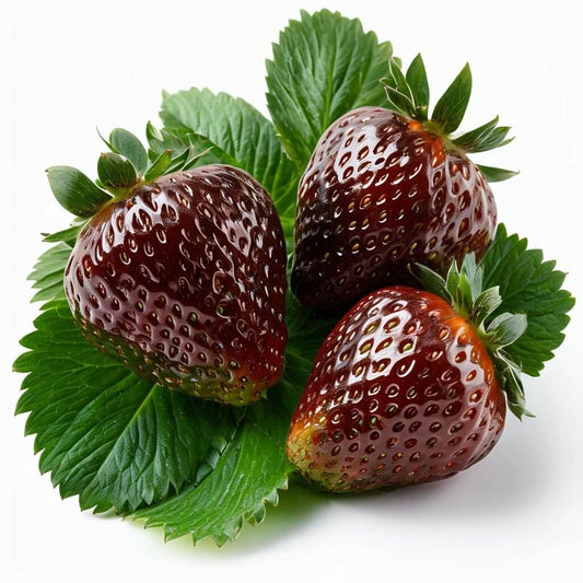 Brown Strawberry Seeds