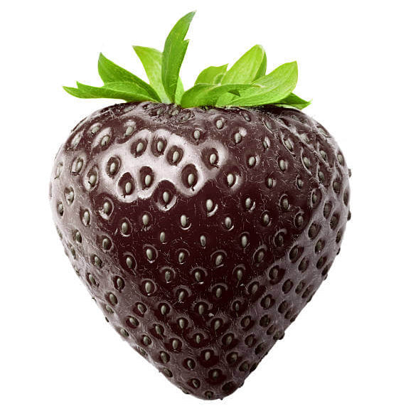 Brown Strawberry Seeds