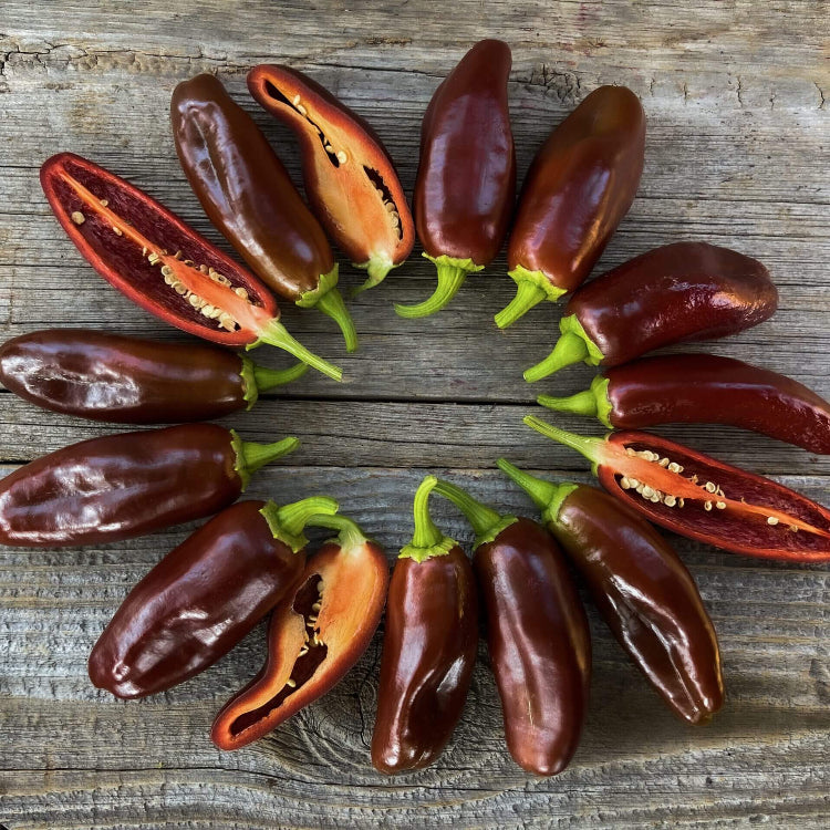 Brown jalapeno seeds - Vegetable Plant