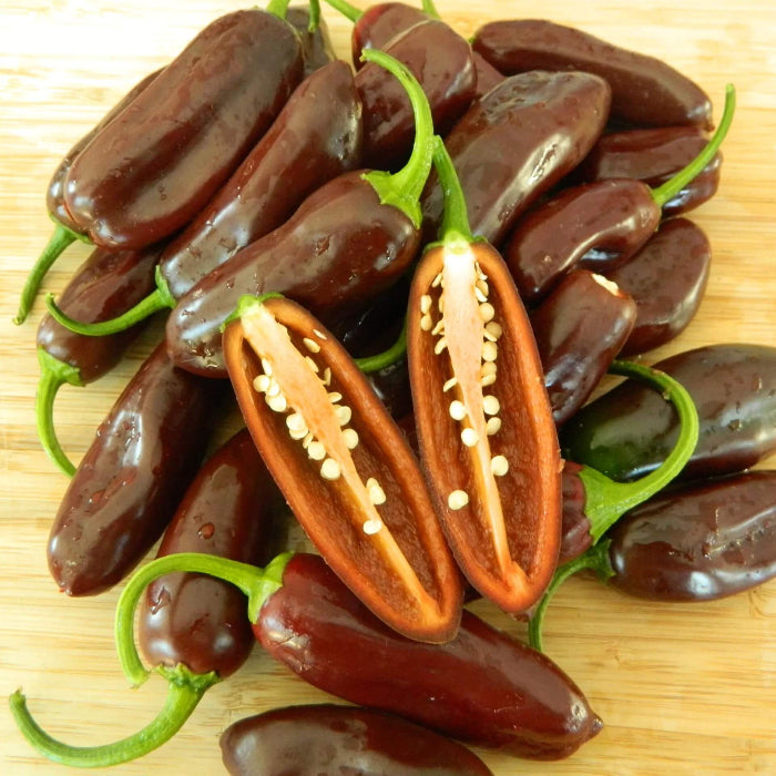 Brown jalapeno seeds - Vegetable Plant
