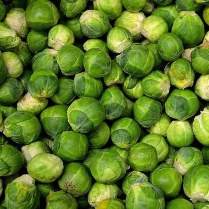 Brussels Sprouts Seeds