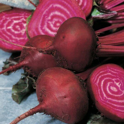 Bull's Blood Beet Seeds