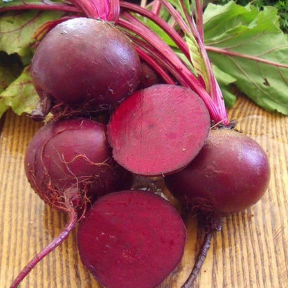Bull's Blood Beet Seeds