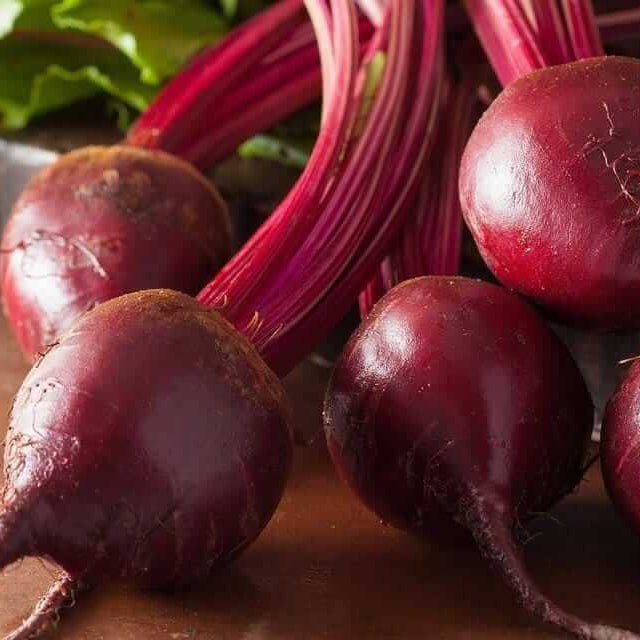 Bulls blood beet seeds - Vegetable Plant