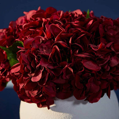 Burgundy Hydrangea Seeds - Heirloom Flower Plant for Home Gardens