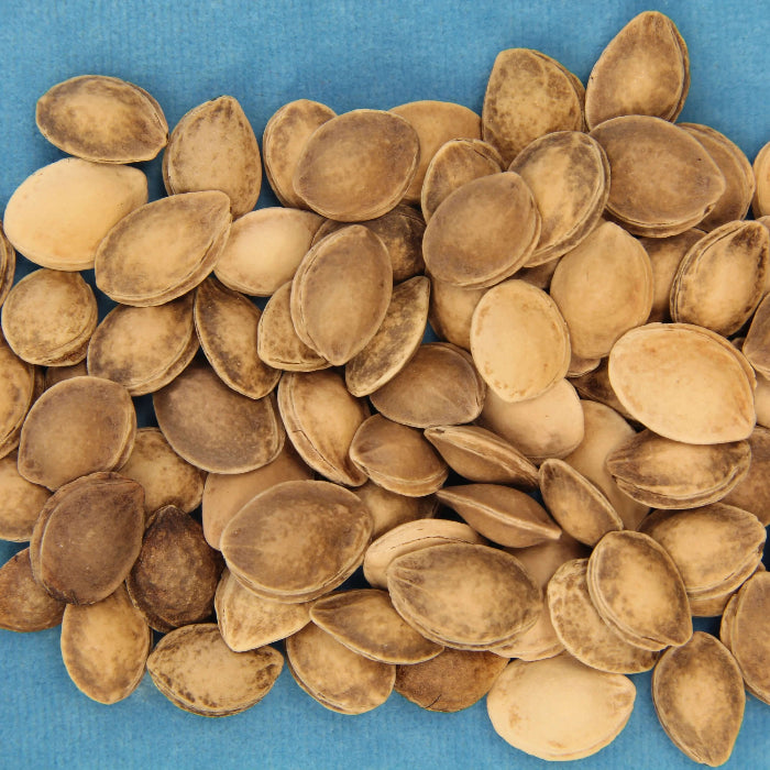 Burgundy Plum Seeds 