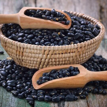 Bush Black Bean Seeds - Heirloom Vegetable Plant for Home Gardens