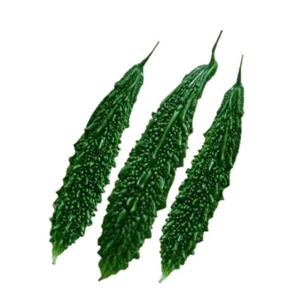 CO1 Bitter Gourd Seeds
