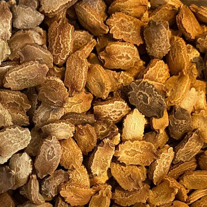 CO1 Bitter Gourd Seeds