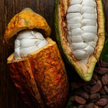 Cacao Seeds