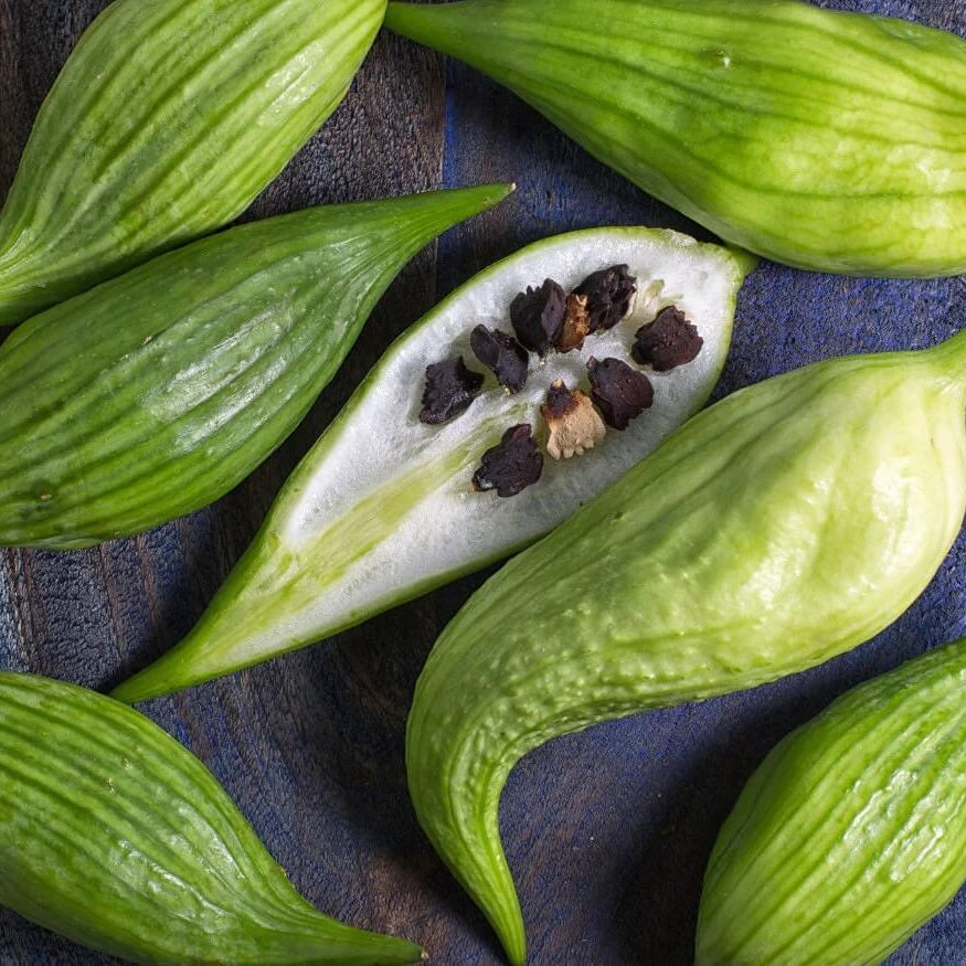 Caigua Seeds